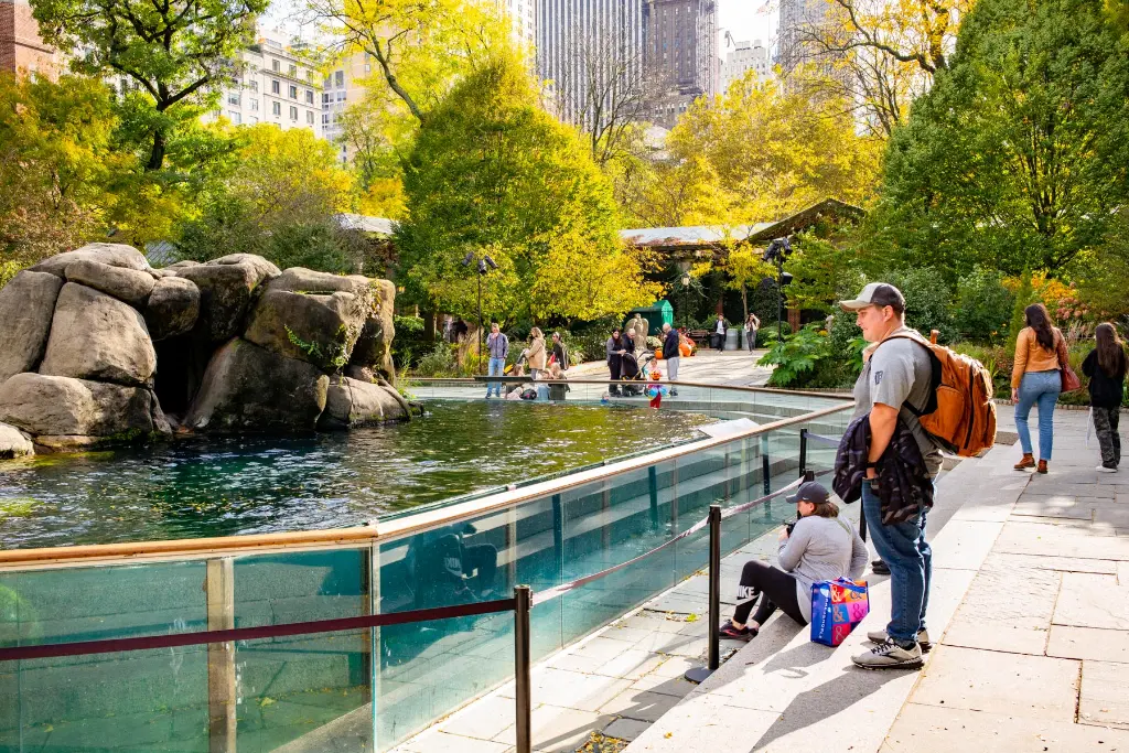 Central-Park-Zoo-1002130.webp