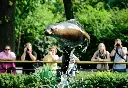18gkpot3qy_Julie_Larsen_Maher_1261_California_Sea_Lion_Show_jumping_SLP_BZ_09_13_10.webp