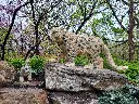 20240418_123956.webp
